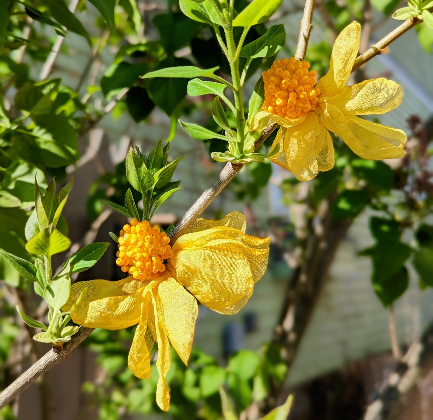 Chiffon Beaded Yellow Flower Statement Clip-on Earrings